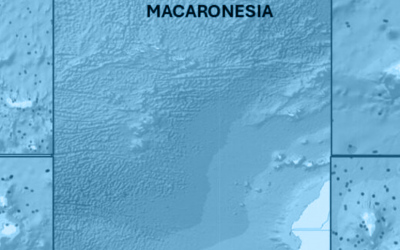 PLOCAN identifica los principales “puntos calientes” de acumulación de basuras marinas en la Macaronesia