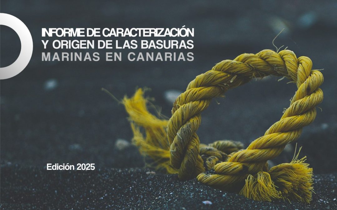 Publicación del Informe de caracterización y origen de las basuras marinas en Canarias 2025 realizado por CETECIMA en el marco del proyecto CIRCULAROCEAN
